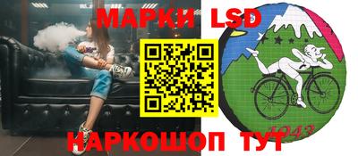 кокс Можга