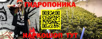 кокс Можга