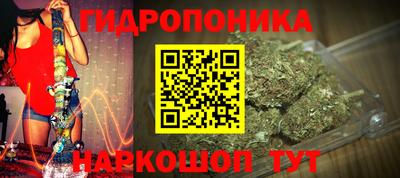кокс Можга