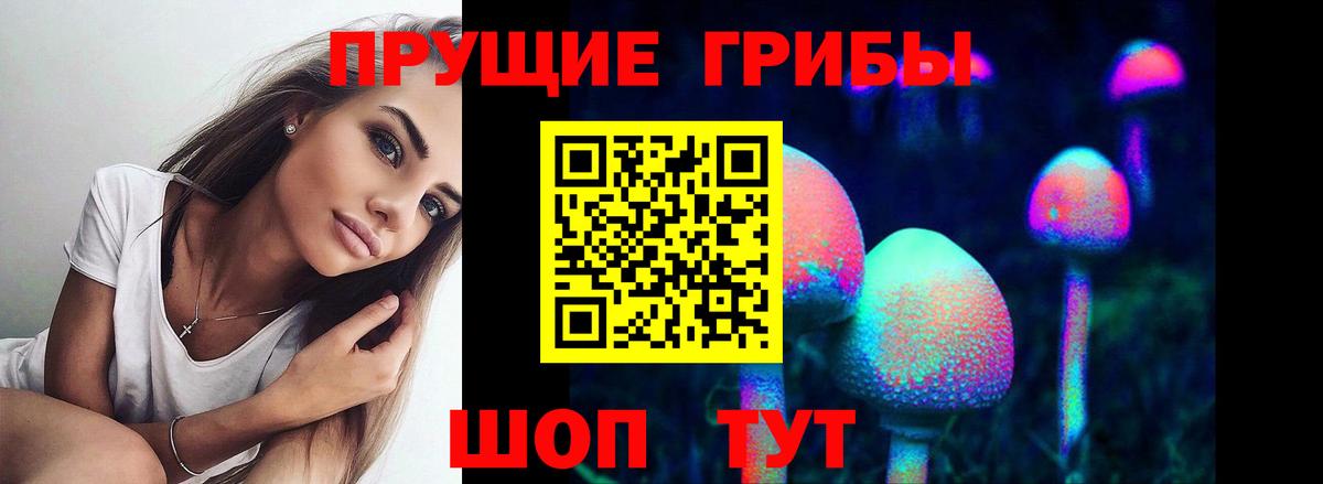 купить  сайты  Псилоцибиновые грибы прущие грибы  Выборг  Вход с VPN  Галлюциногенные грибы Magic Shrooms 