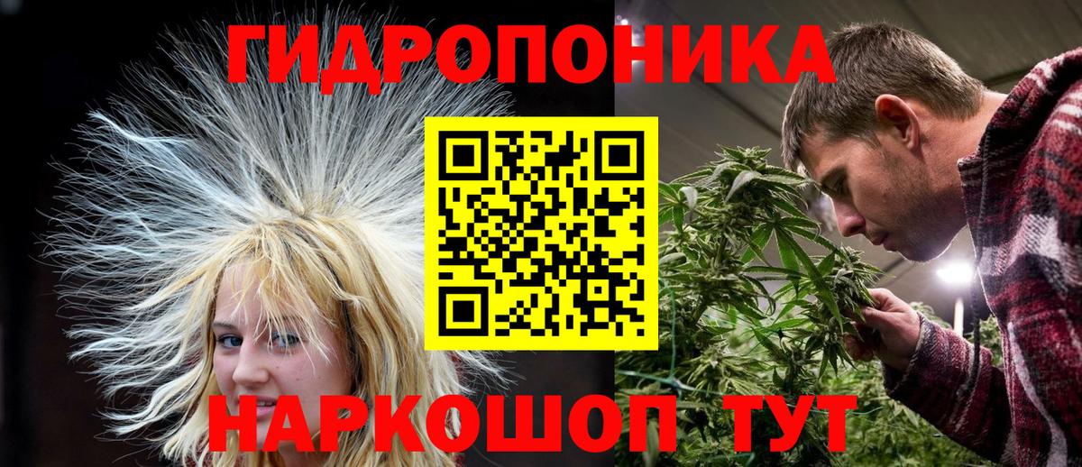 Конопля THC 21%  Конопля Bruce Banner  МАРИХУАНА планчик  Вход с VPN  Выборг 